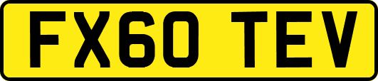 FX60TEV