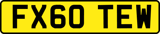 FX60TEW