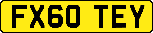 FX60TEY