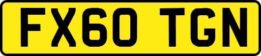FX60TGN