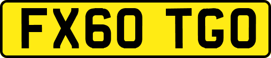 FX60TGO