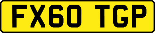 FX60TGP