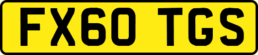FX60TGS