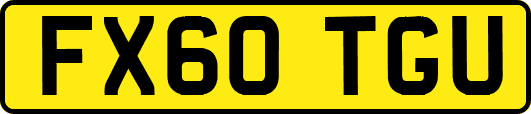 FX60TGU