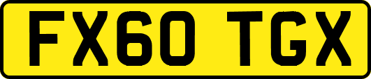 FX60TGX
