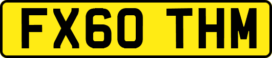 FX60THM
