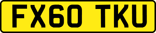 FX60TKU
