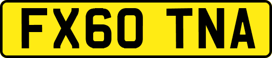FX60TNA
