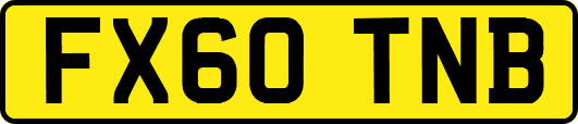 FX60TNB