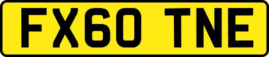 FX60TNE