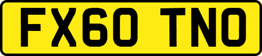 FX60TNO