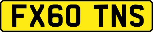 FX60TNS