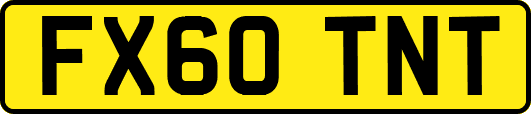 FX60TNT