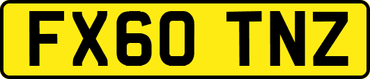 FX60TNZ