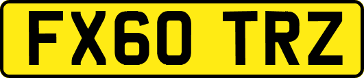 FX60TRZ