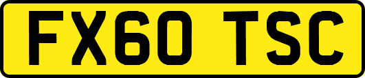 FX60TSC