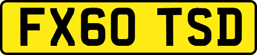 FX60TSD