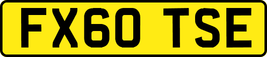 FX60TSE