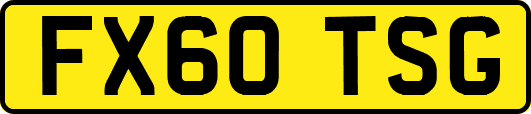 FX60TSG