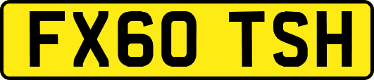 FX60TSH
