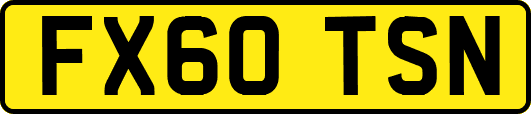 FX60TSN