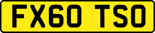 FX60TSO