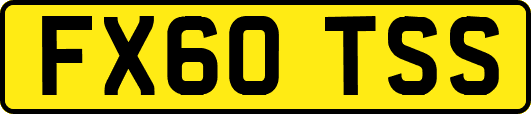 FX60TSS