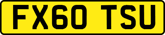FX60TSU