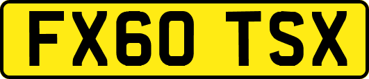 FX60TSX