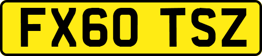 FX60TSZ