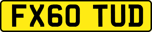 FX60TUD