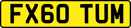 FX60TUM