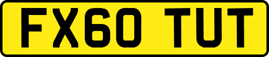 FX60TUT