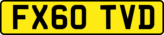 FX60TVD