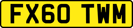 FX60TWM