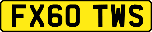 FX60TWS