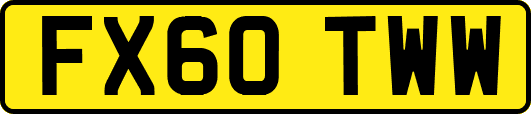 FX60TWW