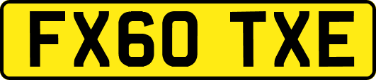 FX60TXE