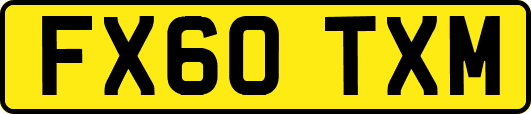 FX60TXM