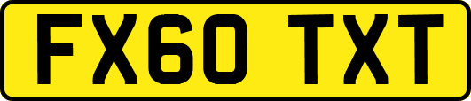 FX60TXT