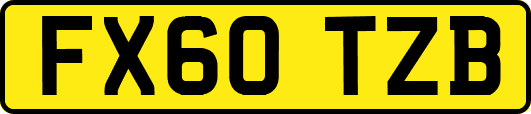 FX60TZB