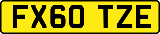 FX60TZE