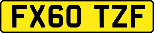 FX60TZF