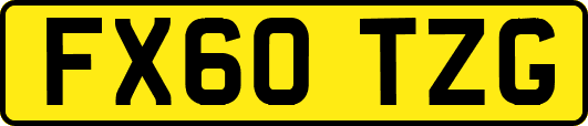 FX60TZG
