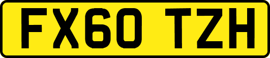 FX60TZH