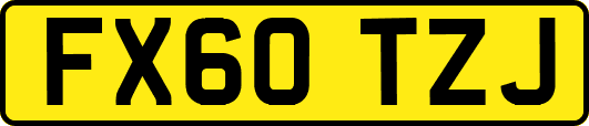 FX60TZJ