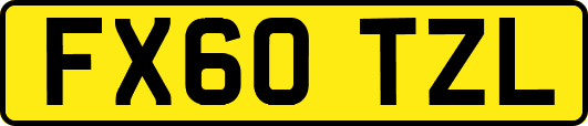 FX60TZL