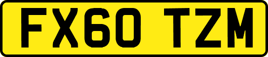 FX60TZM