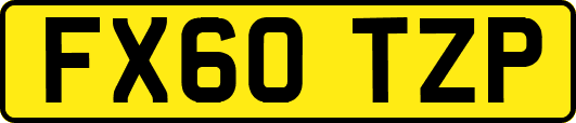 FX60TZP