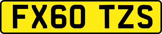 FX60TZS